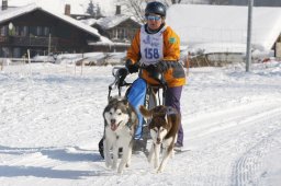 Lenk 2012 SM